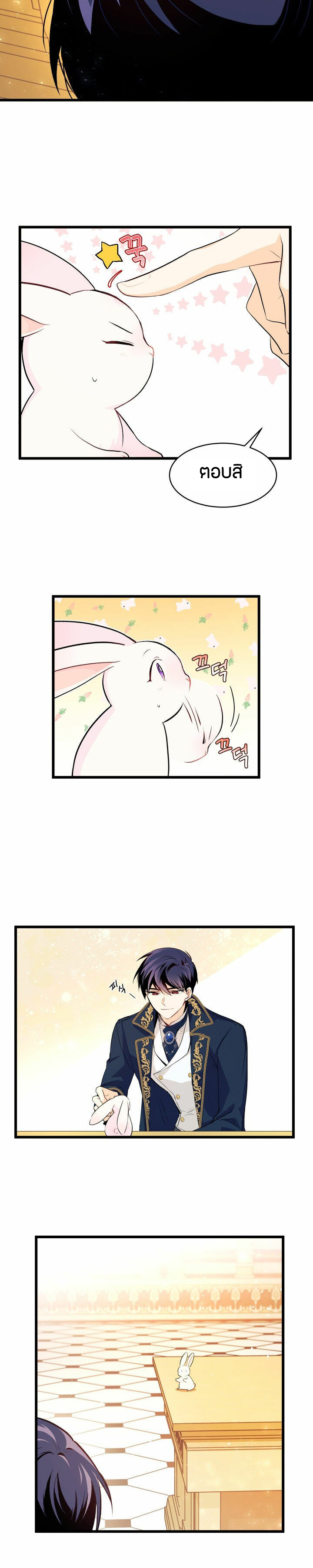rabbit7 19