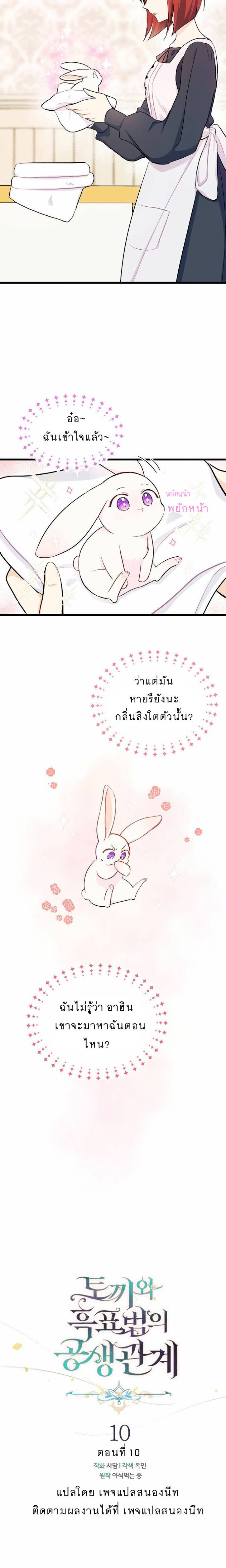 rabbit10 09