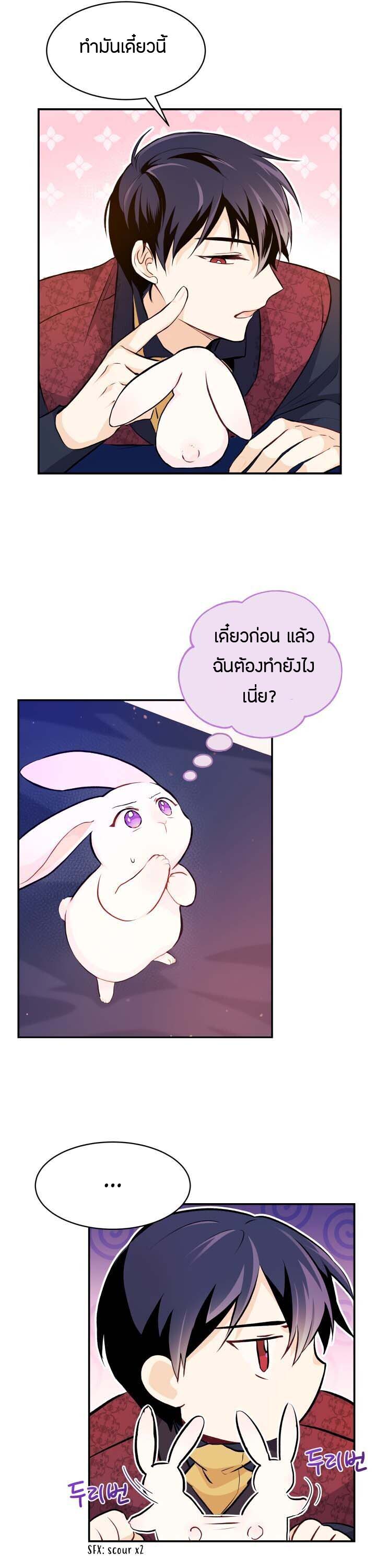 rabbit5 49