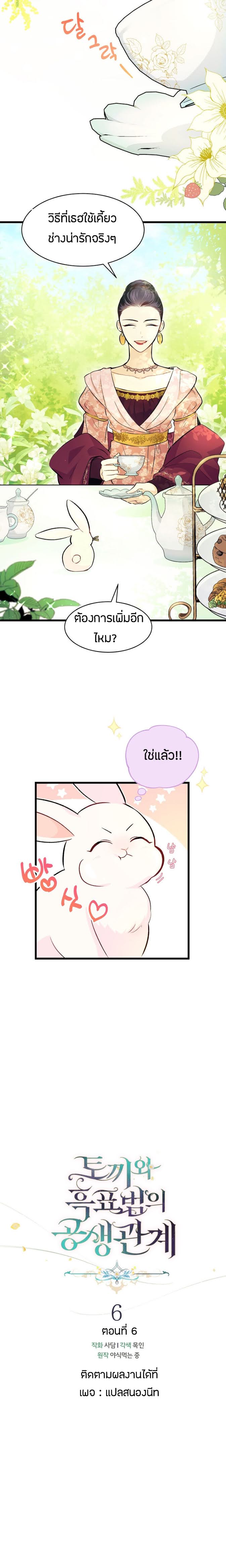 rabbit6 07