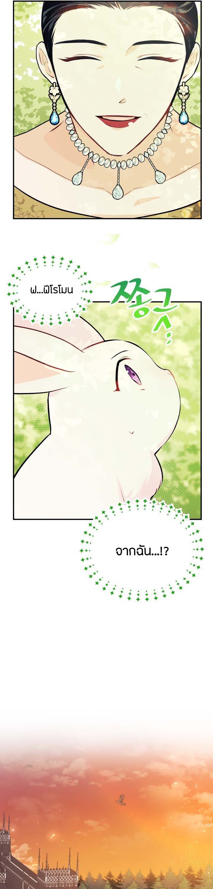 rabbit5 25