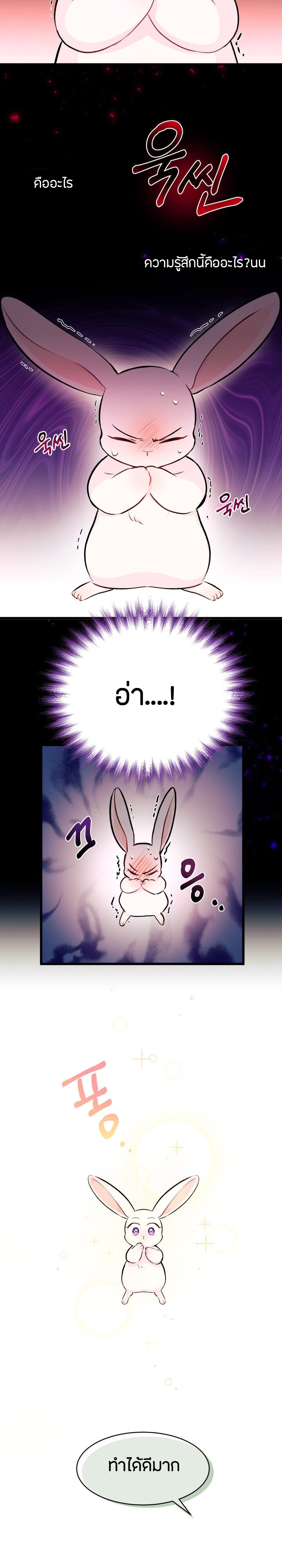 rabbit6 15