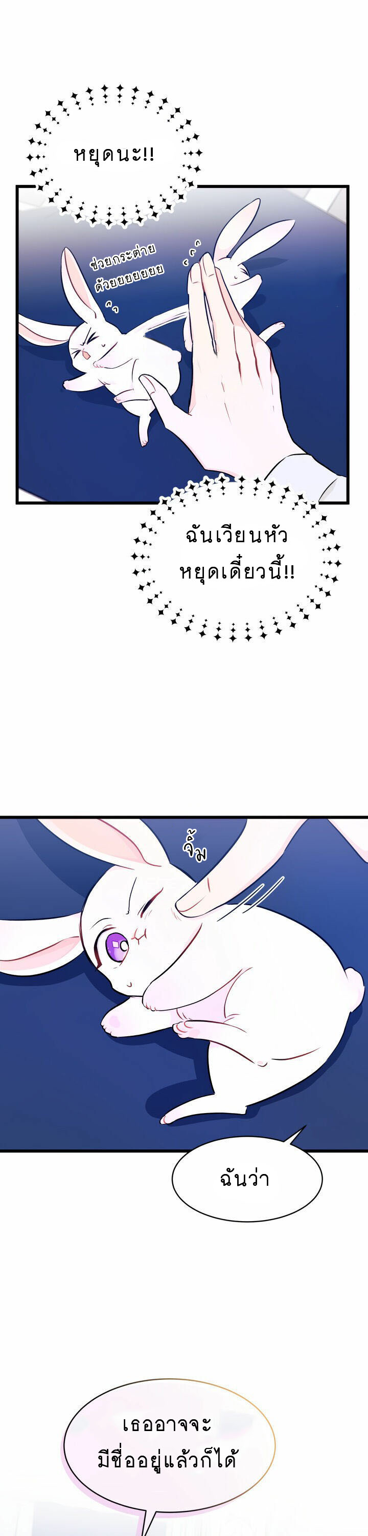 rabbit10 17