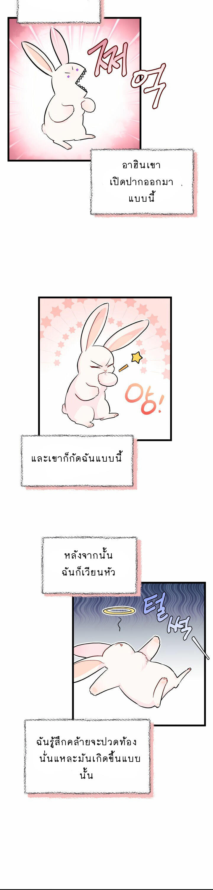 rabbit11 39