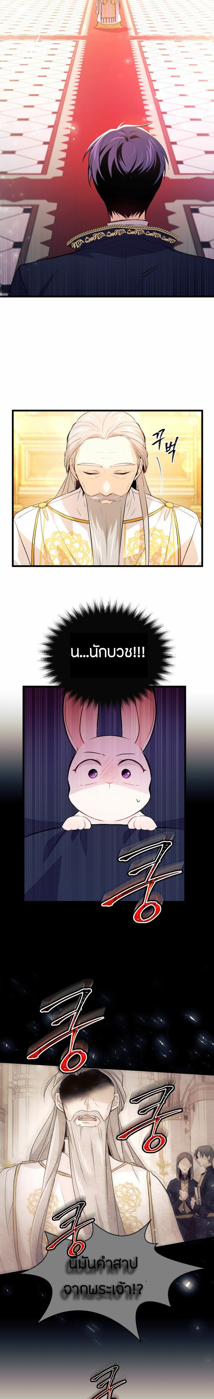 rabbit7 15